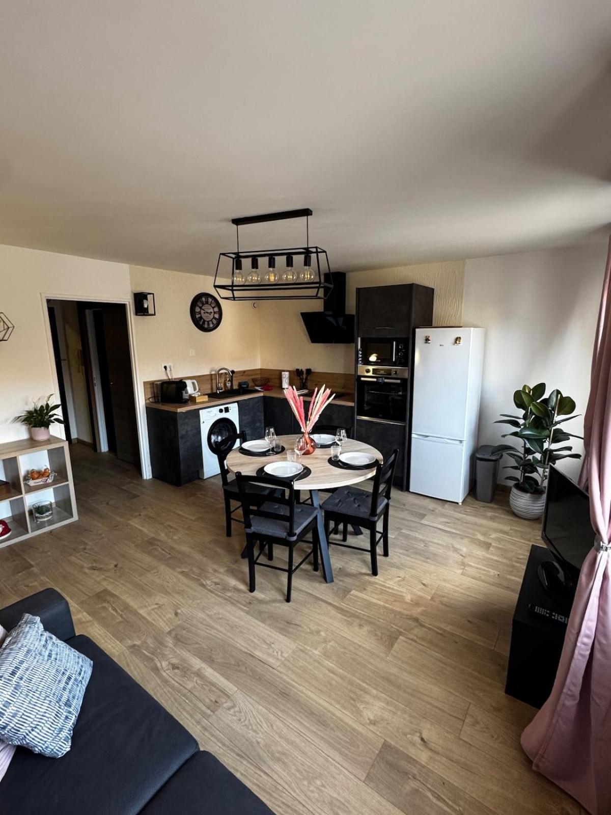Appartement Le Pfeffel à Colmar